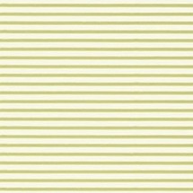 연미색(색골판지)W-06