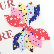 별무늬(바니초음파장식)